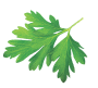 Parsley leaf accent